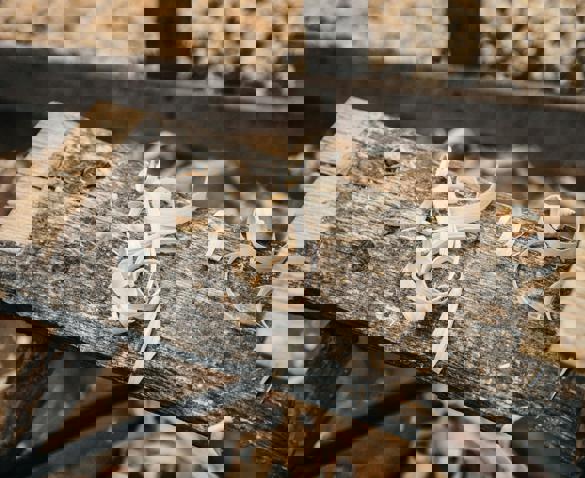 Pexels Conojeghuo 175709