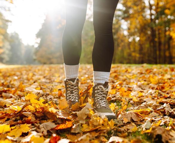 close up of legs in a field of laves and trees
