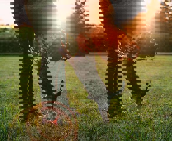 Pexels Lstan 2666154